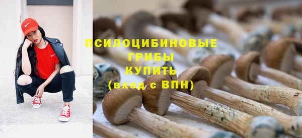 винт Покровск