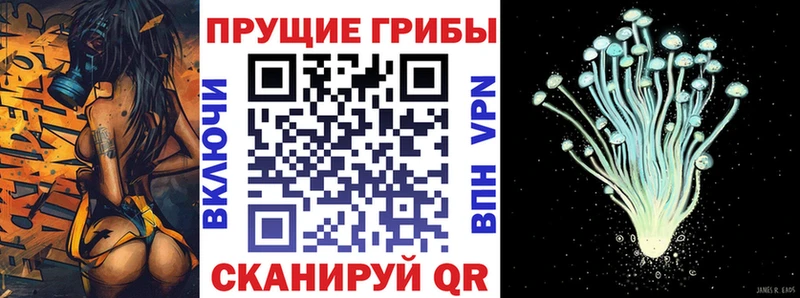 Псилоцибиновые грибы мухоморы  хочу наркоту  omg ссылки  Кондрово 